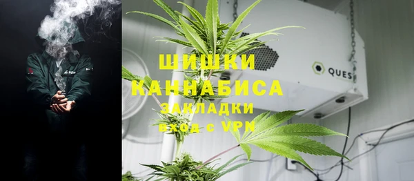 спайс Вяземский