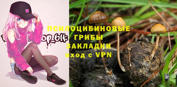 спайс Вяземский