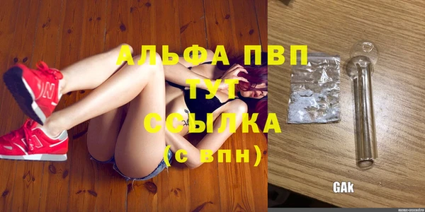 спайс Вяземский