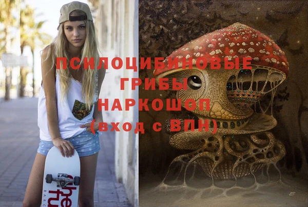 спайс Вяземский