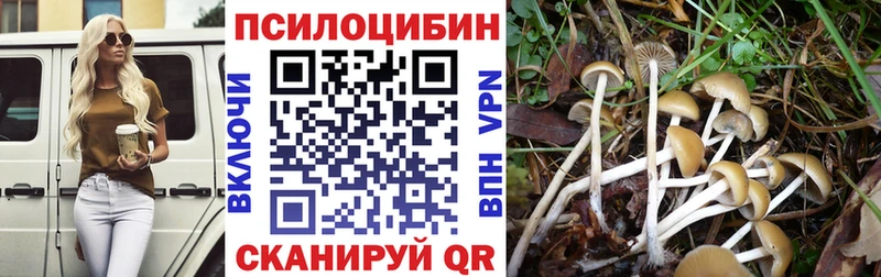 Галлюциногенные грибы ЛСД  Купить закладки  Анива 